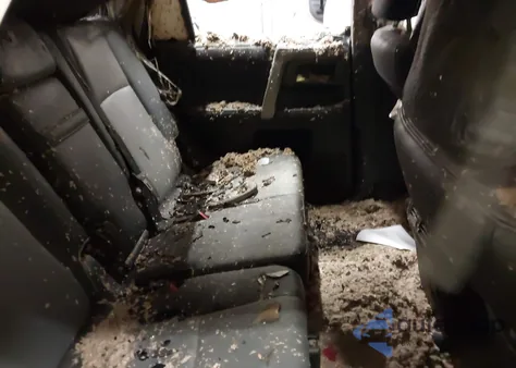 2019 Toyota 4Runner Sr5 Premium from USA, damaged, VIN JTEBU5JR2K5612032